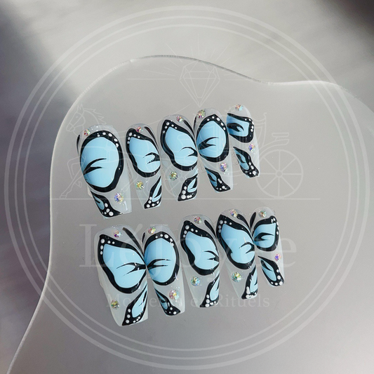 Painted Wings